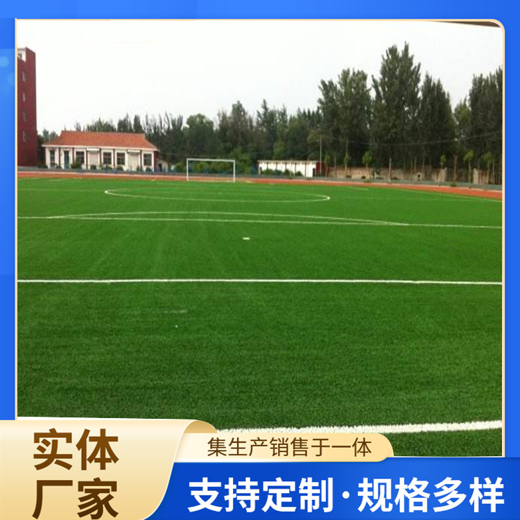 资阳市硅PU人造草坪 - 排名